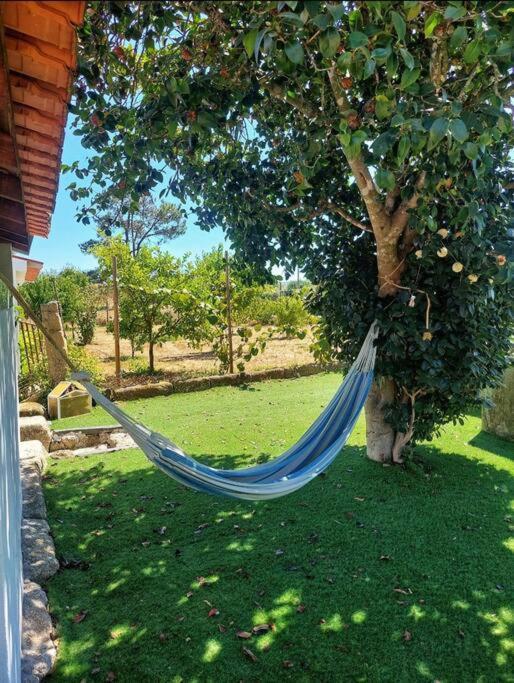 A Casa Do Soito Villa Oliveira do Hospital Ngoại thất bức ảnh